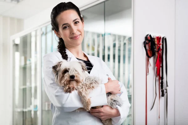 Veterinario feliz llevando cachorro enfermo — Foto de Stock