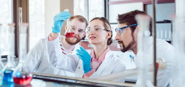 Scientific Chemists synthesizing a new compound — Stock Photo, Image
