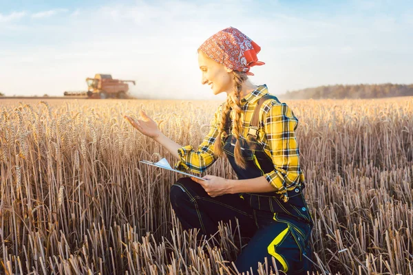 Farmer on a field during harvest with clipboard — Stock Photo, Image