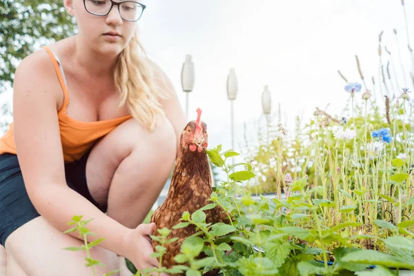 A girl and her chicken — Stock Photo, Image