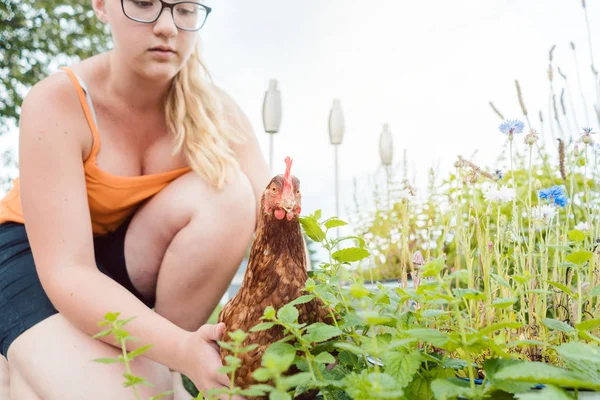 Une fille et son poulet — Photo