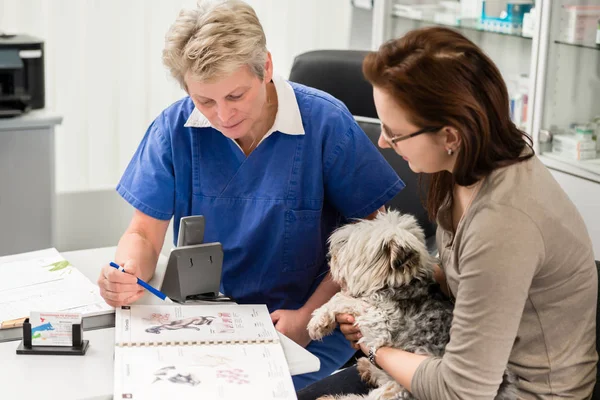 Propietario de mascotas recibir orientación del veterinario femenino — Foto de Stock