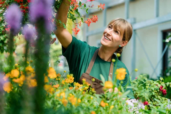 Mujer jardinero en su tienda cuidando algunas flores —  Fotos de Stock