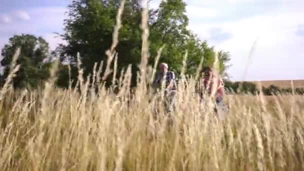 Couple aîné faisant du vélo pour une meilleure forme physique — Video