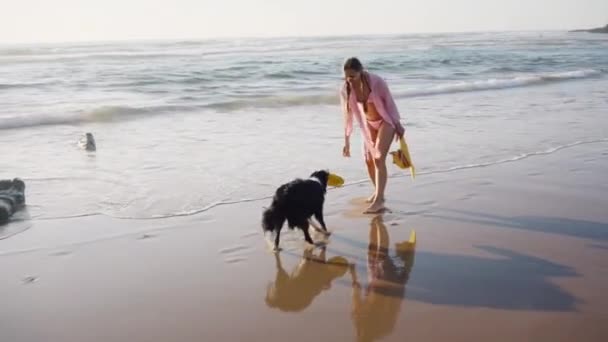 Žena si pohrává se psem na pláži — Stock video