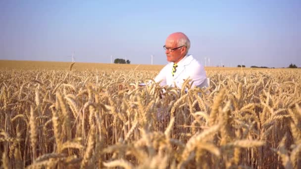 Jordbruksforskare som letar kvalitet med nya frön — Stockvideo