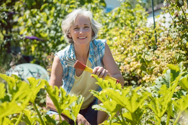 Femme âgée travaillant dans son jardin — Photo