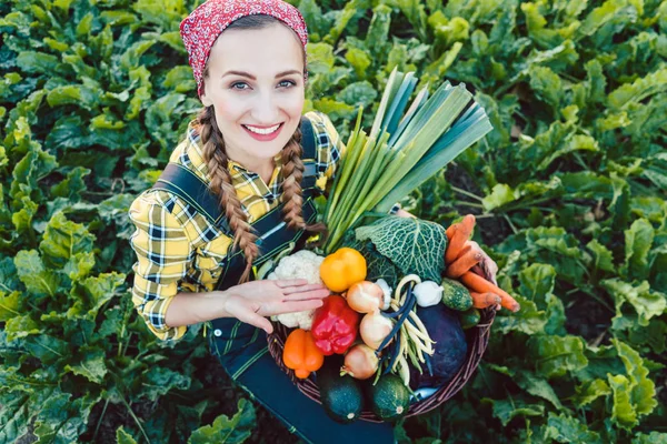 Mujer agricultora en un campo que ofrece verduras orgánicas — Foto de Stock