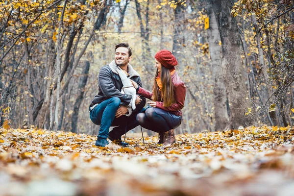 Mujer y hombre en el otoño paseando con su perro en el parque —  Fotos de Stock