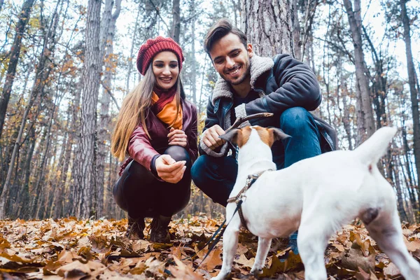 Couple de femme et homme jouant avec leur chien à l'automne — Photo
