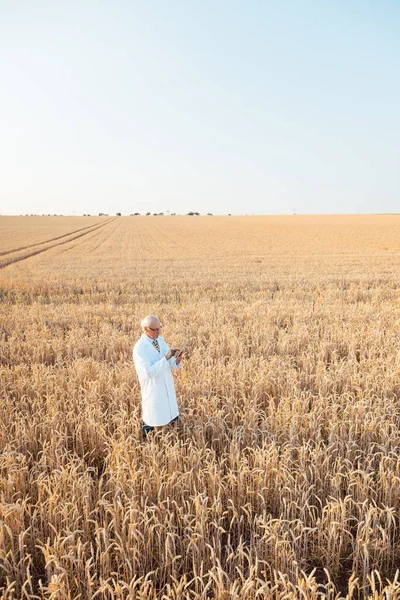 Agriculture scientist doing research in grain test field tracking data