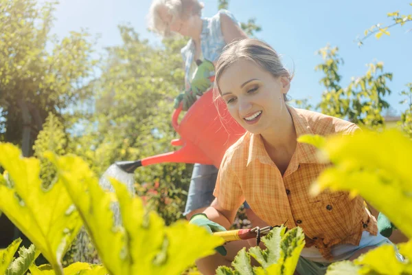 Senior woman watering the vegetables while daughter is working in garden — Stock Photo, Image