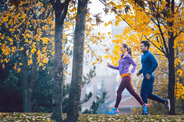 Nő és férfi, kocogás vagy futás-ban park-ősz folyamán — Stock Fotó