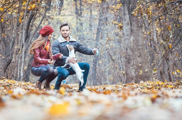 Woman and man petting the dog walking it in a colorful fall setting — Stock Photo, Image