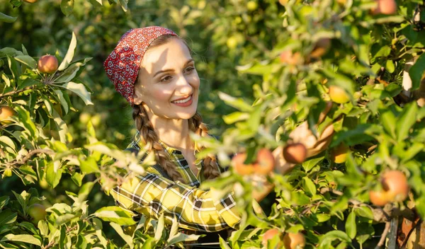 Fruit boer vrouw haar appelboomgaard inspecteren — Stockfoto