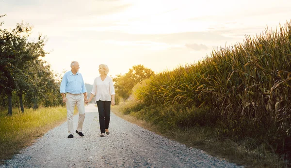 Donna anziana e uomo che passeggiano lungo un campo — Foto Stock