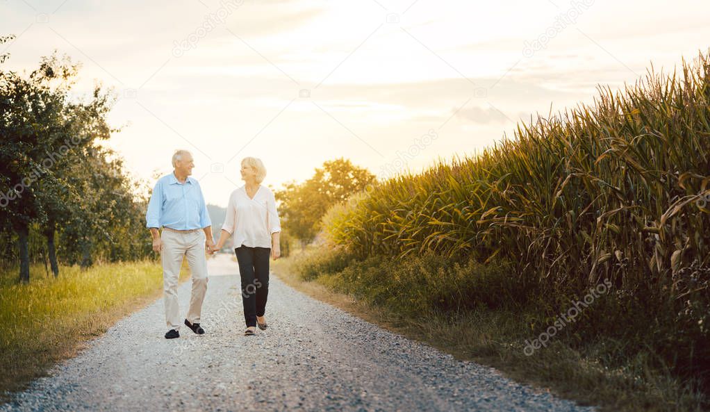 Senior woman and man having a walk along a field