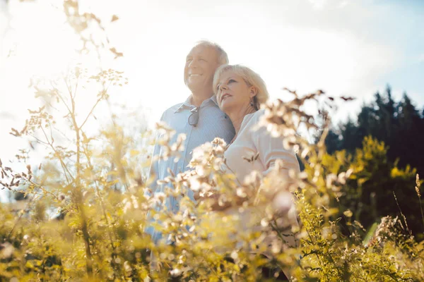 Yaşlı çift bir çayırda yan yana duruyor — Stok fotoğraf