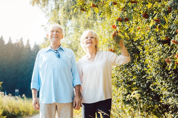 Mature woman and man having a summer walk — Stock Photo, Image