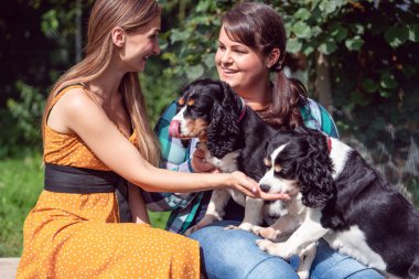 Kadın arkadaşlar hayvan barınağında köpeklerle oynuyorlar.