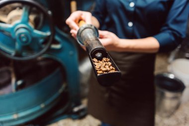 Woman taking sample of fresh beans from coffee roast machine clipart