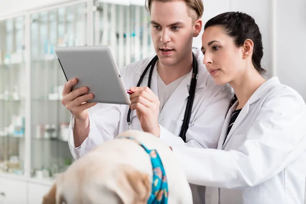 Tierärztin und Tierarzt mit digitalem Tablet — Stockfoto