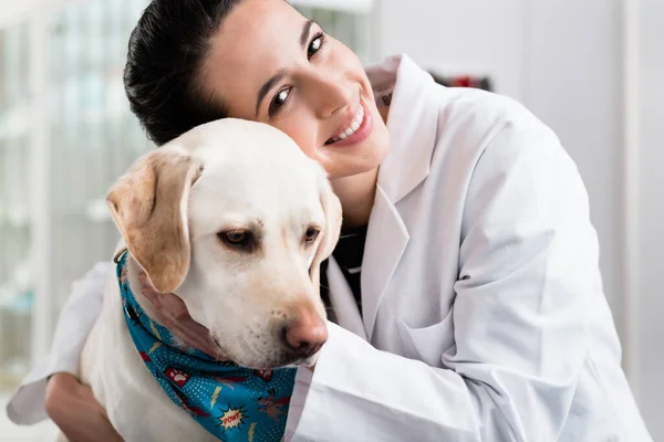 Усміхнений лікар з собакою — стокове фото