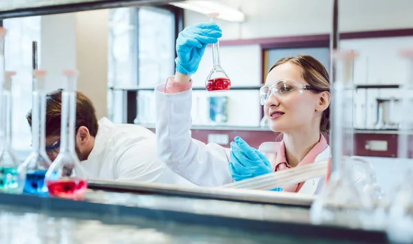 Analytical chemist analyzing a liquid solution — Stock Photo, Image