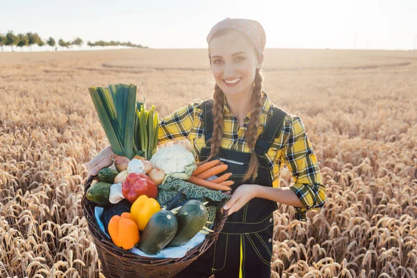 Harvest time in the country, woman farmer offering vegetables — Stock Photo, Image