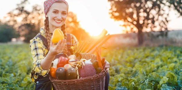 Фермерка продає барвисті та здорові овочі — стокове фото
