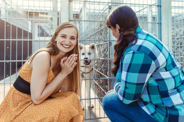 Mulher adotando um cão no abrigo de animais, ansiosamente esperando — Fotografia de Stock