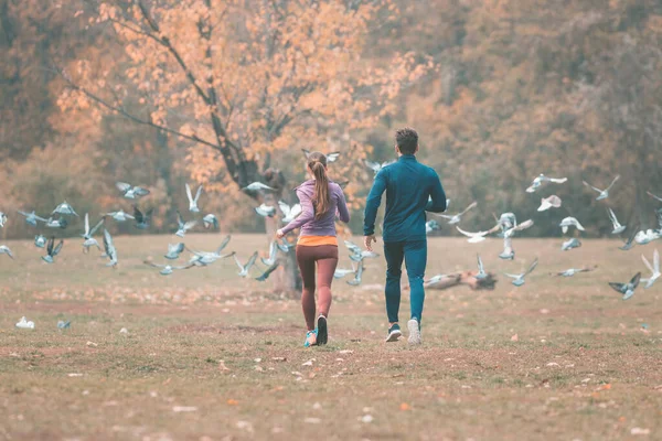 Fall running in a park, seen from behind couple