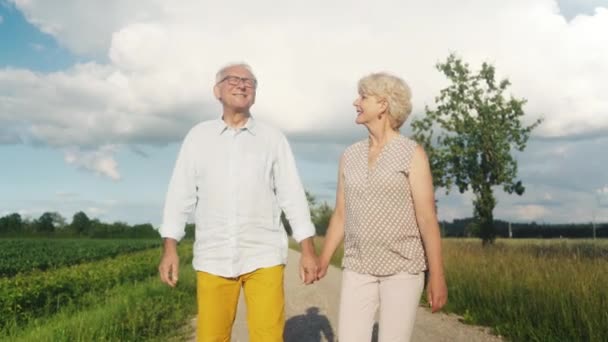 Soț și soție în vârstă care fac o plimbare în peisajul de vară — Videoclip de stoc