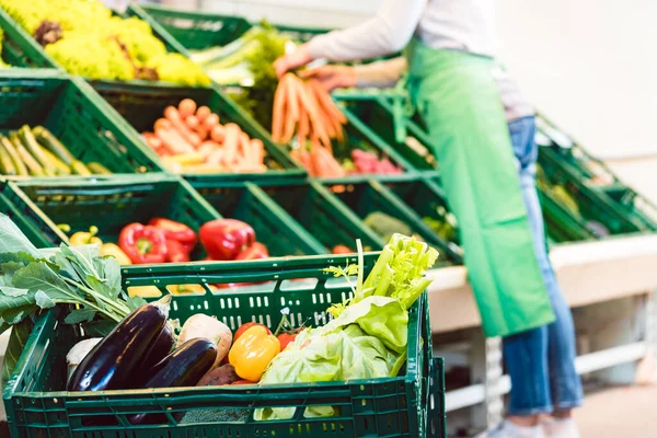 Compre con verduras orgánicas en una caja — Foto de Stock