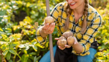 Çiftçi kadın tarlada hasat ettiği patateslere hayran.