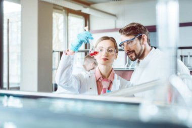 İlerleme deneyinde iki kimya bilimcisi