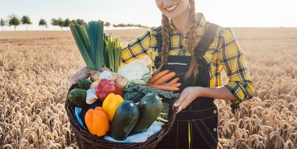 Farmer woman offering healthy vegetables — Stock Photo, Image