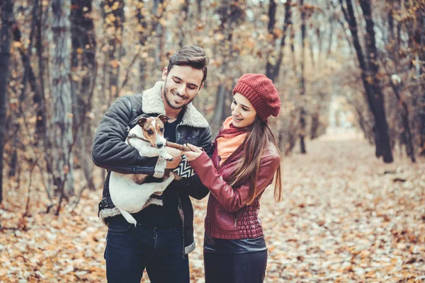 Par i höst med hund i en park — Stockfoto