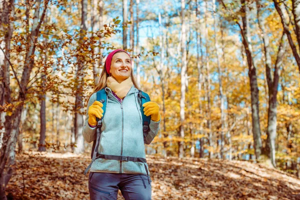 Sonbahar ormanlarında yürüyüş yapan bir kadın. — Stok fotoğraf