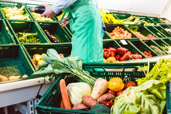 Winkel met biologische groenten in een doos — Stockfoto