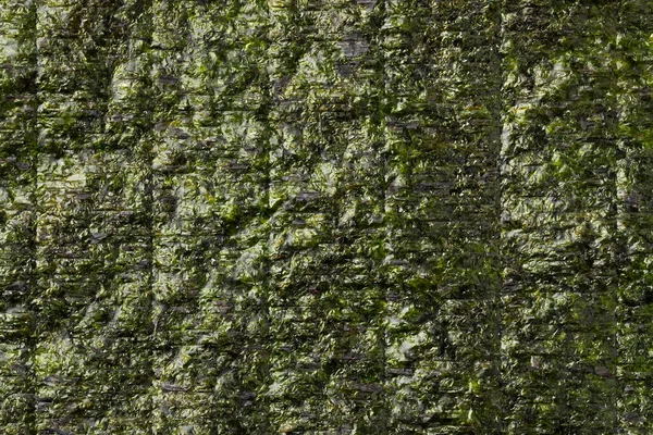Sheet of dried green nori full frame