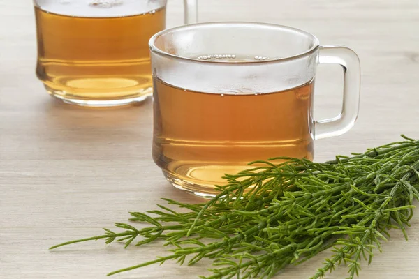 Glas cup with hot field horsetail herbal tea and fresh green twigs close up — Stock Image Glas Cup Hot Field Horsetail Herbal Tea Fresh Green Twigs Stock Photo