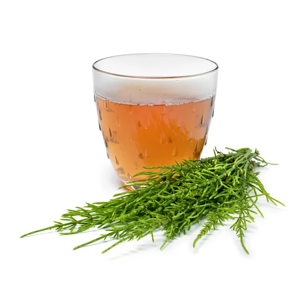 Glas cup with hot field horsetail herbal tea and fresh green twigs close up isolated on white background — Stock Image Glas Cup Hot Field Horsetail Herbal Tea Fresh Green Twigs Stock Image