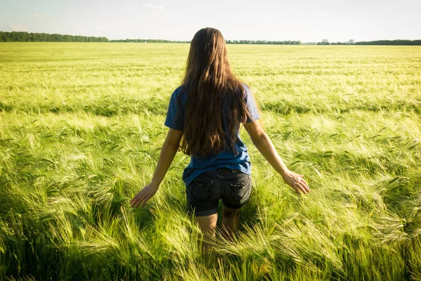 Ragazza toccando spighe verdi di grano sul campo — Foto Stock