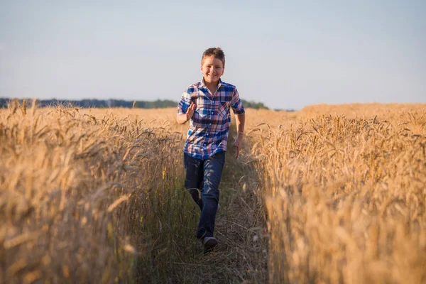 Nuori poika juoksee pellolla kypsän vehnän kanssa — kuvapankkivalokuva
