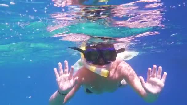 Menino mergulho no mar Vermelho — Vídeo de Stock