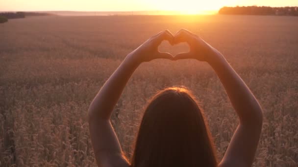 Девушка на пшеничном поле делает символ сердца на закате — стоковое видео