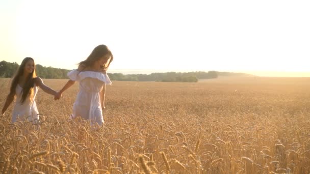Zwei Mädchen laufen gemeinsam auf Weizenfeld — Stockvideo