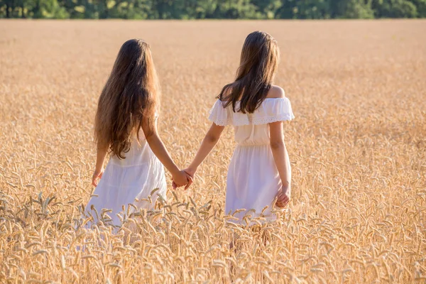 Due ragazze che camminano insieme sul campo di grano — Foto Stock