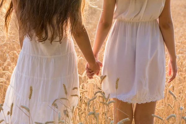 Két lány állt össze a Búzamező, Vértes — Stock Fotó